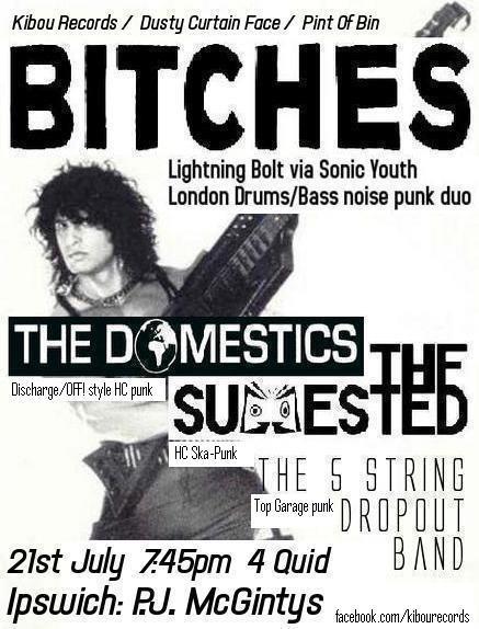 BITCHES + THE DOMESTICS + 5 STRING DROPOUT BAND @ PJ McGinty’s, Ipswich, Jul 21!