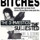 BITCHES + THE DOMESTICS + 5 STRING DROPOUT BAND @ PJ McGinty’s, Ipswich, Jul 21!