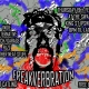 FREAKVERBRATION # 2 indie/alternative/psychedelic DJ night @ THE SWAN Thursday 19th February