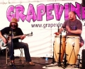on the Grapevine stage, Ips Music in the Park, 2009