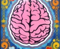 Magnificent Brain