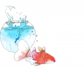 “Pet death” Flying Goldfish
