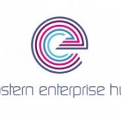 Enterprise Hub